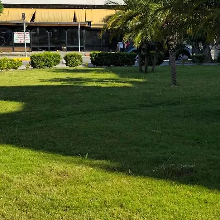 Calm House * Platánion